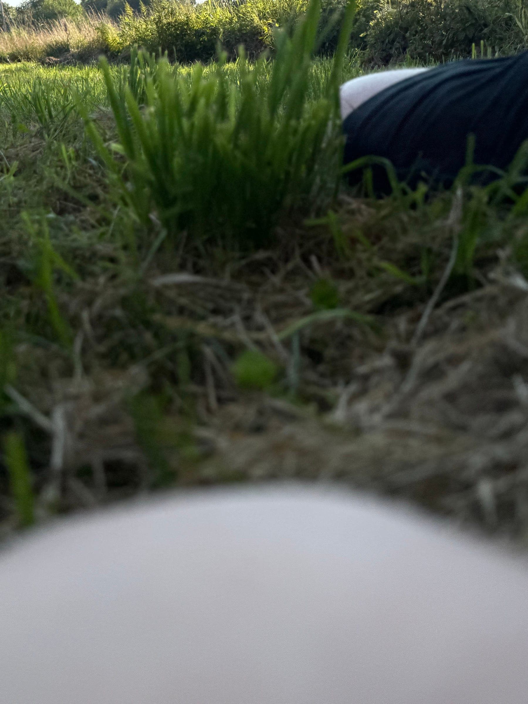 Frame 047